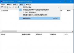 win10蓝屏修复工具(解决