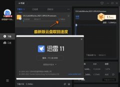 迅雷11(SVIP10会员/VIP标识