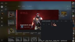 CSGO RiseChanger库存修改器(支持修改武器/人物皮肤