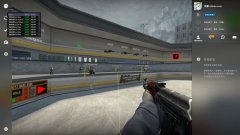 CSGO GOESP透视辅助(人物