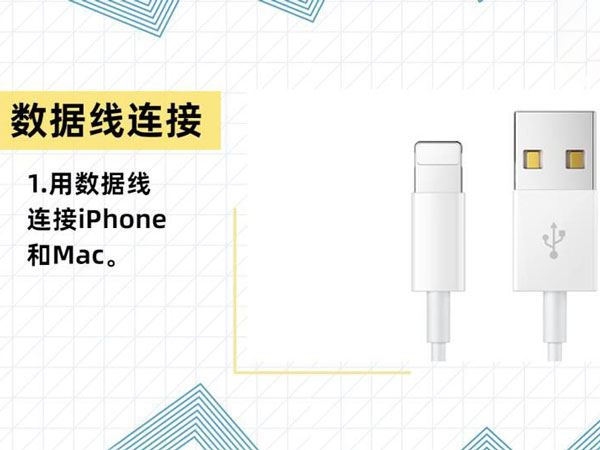 iphone12开发者选项设置在什么地方