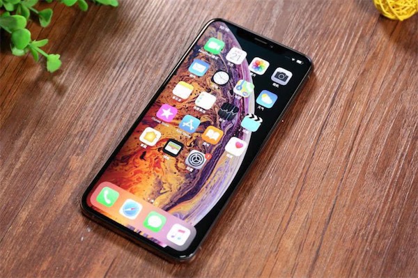 iphonexs支持指纹吗