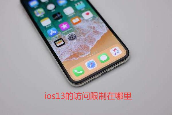 ios13的访问限制在哪里