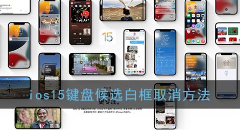 ios15键盘候选白框怎么