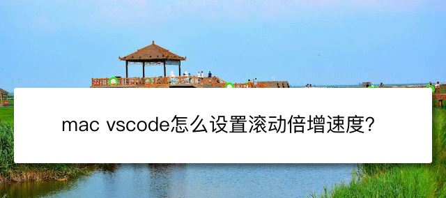 mac版vscode按alt滚动速度倍增在哪里设置-mac版vsc